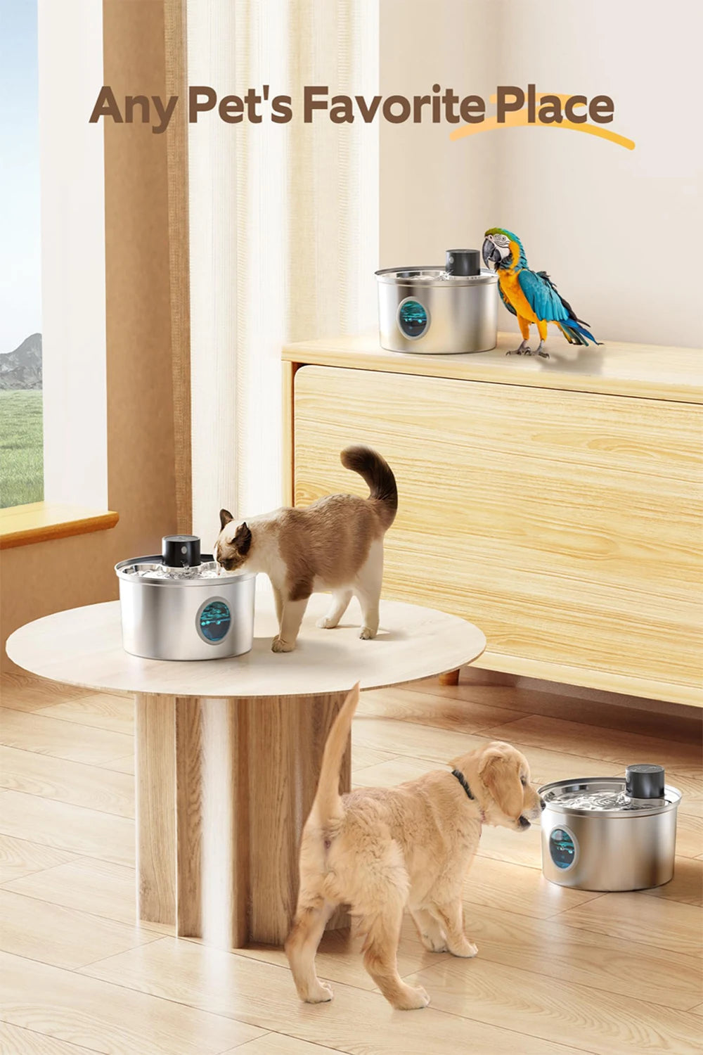 🐾 PetFed® – The Wireless Smart Dog Fountain