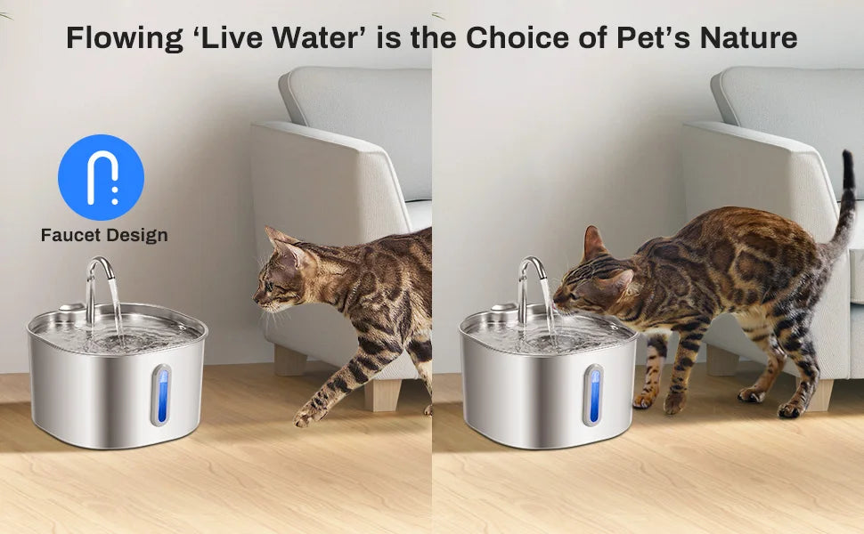 Multi-Layer Filtration Fountain