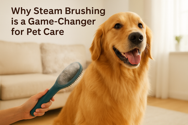 Why Steam Brushing is a Game-Changer for Pet Care