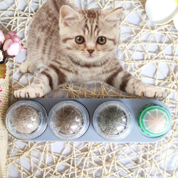 Purr-fection Spin: The Whirling Catnip Delight Ball