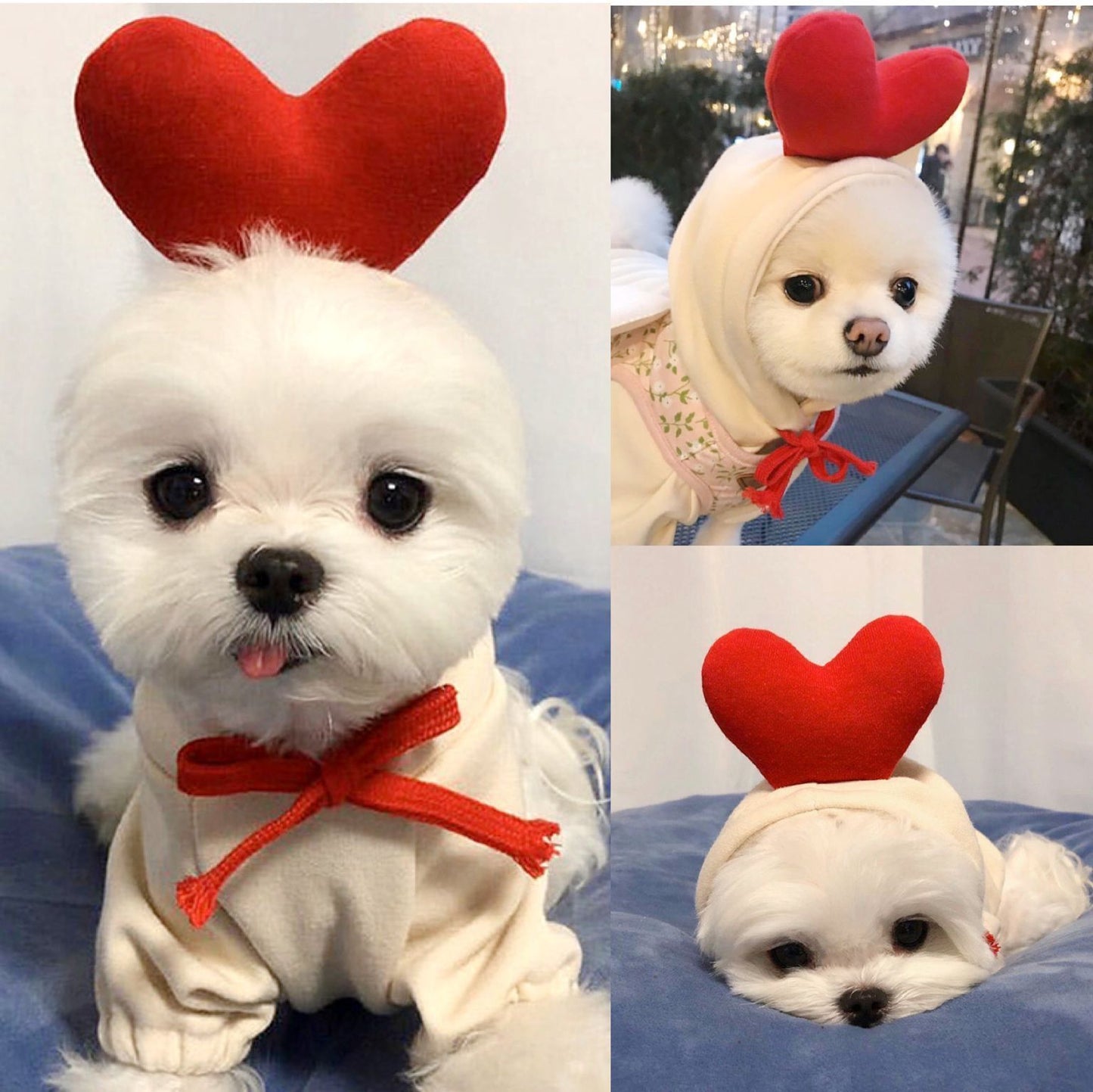 Cute Fruit Dog Hoodies – Winter Fleece Clothes for Small Dogs & Cats