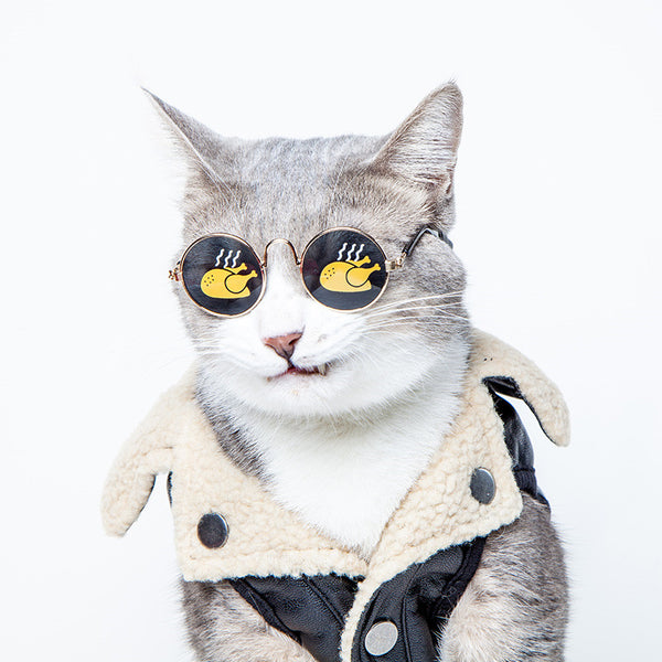 Chic Feline Cat Sunglasses | Pet Glasses
