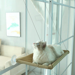 Four Seasons Swing Suction Hanging Cat Bed