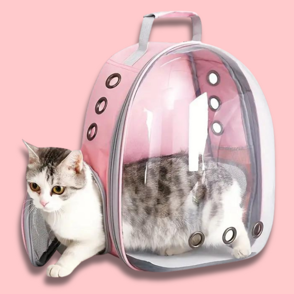 Space Capsule Pet Backpack: 360° View, Transparent Design for Puppies & Cats