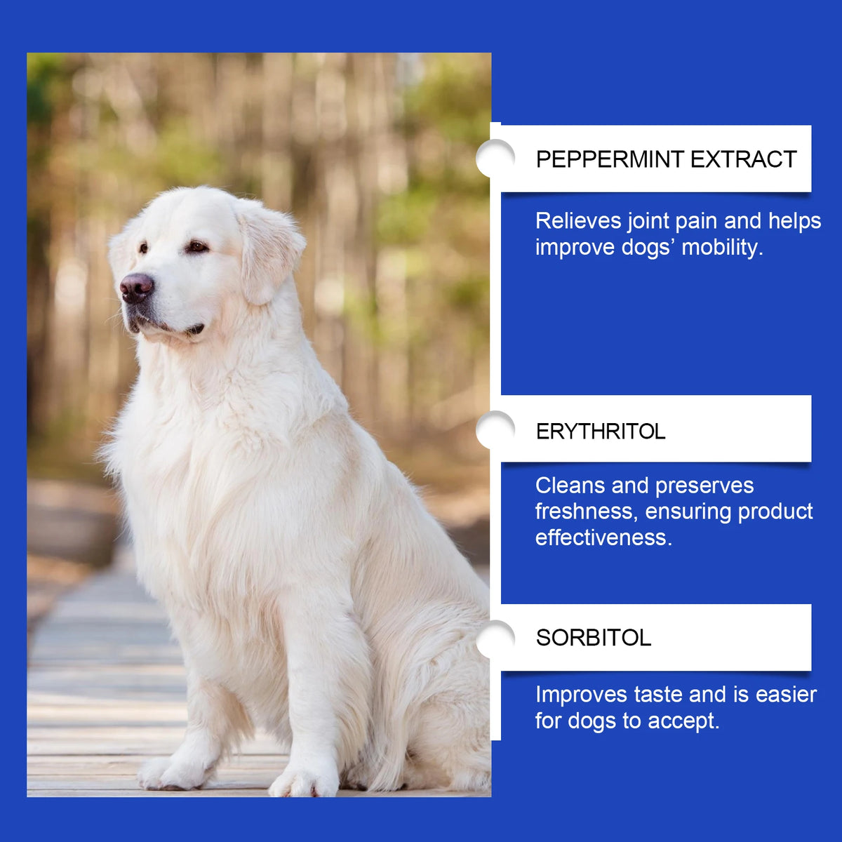 Urinary Tract Support Drops for Dogs & Cats