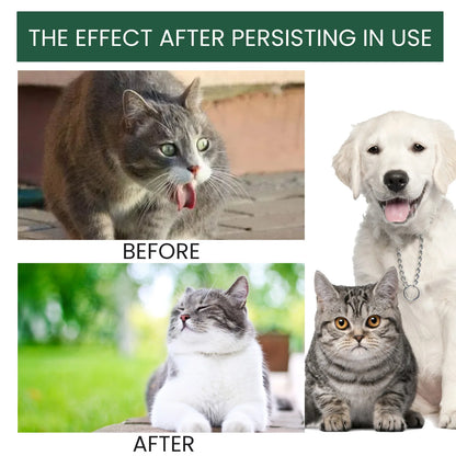 Probiotic Drops for Dogs & Cats — 60 ml
