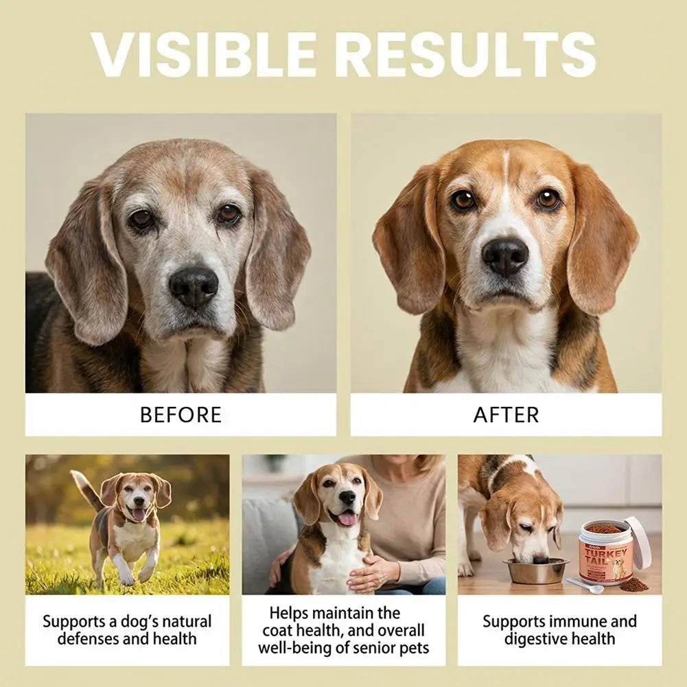 Senior Dog Immune Support Powder — 100 g