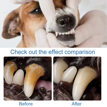 Dental Care Spray for Dogs & Cats — 60 ml