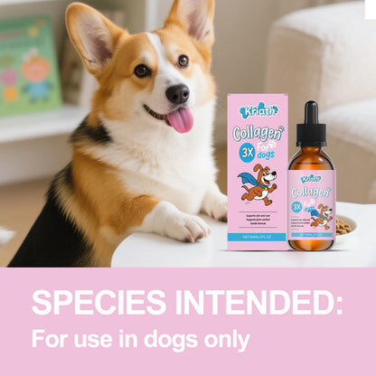 Dog Collagen Joint Support Drops — 60 ml