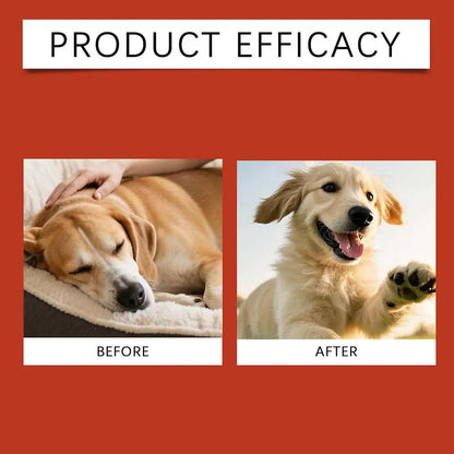 Probiotic Soft Granules for Dogs & Cats — 100 g