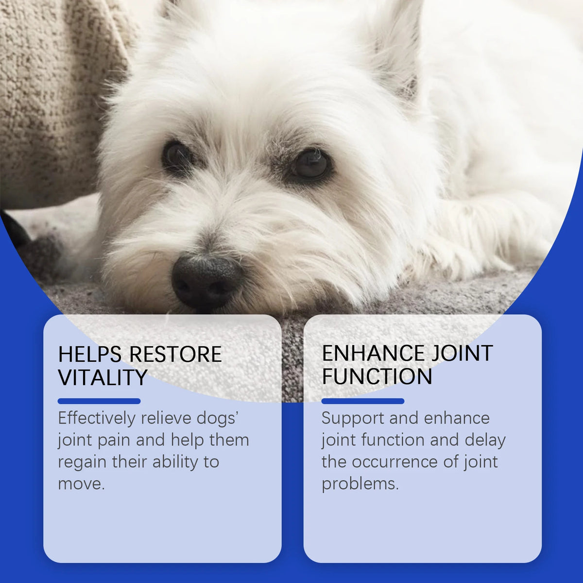 Urinary Tract Support Drops for Dogs & Cats