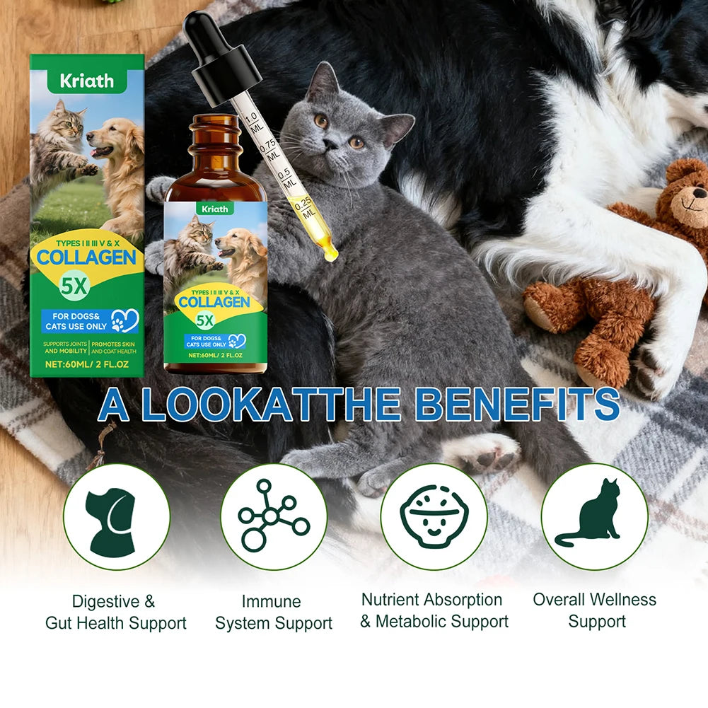 Senior Dog Hip & Joint Collagen Drops — 60 ml