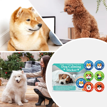 Calming Patches for Dogs & Cats — 6-Pack