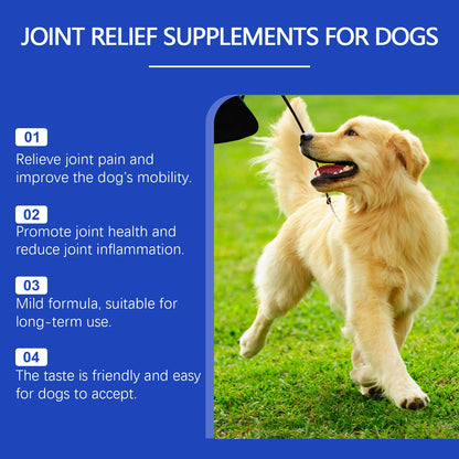 Urinary Tract Support Drops for Dogs & Cats