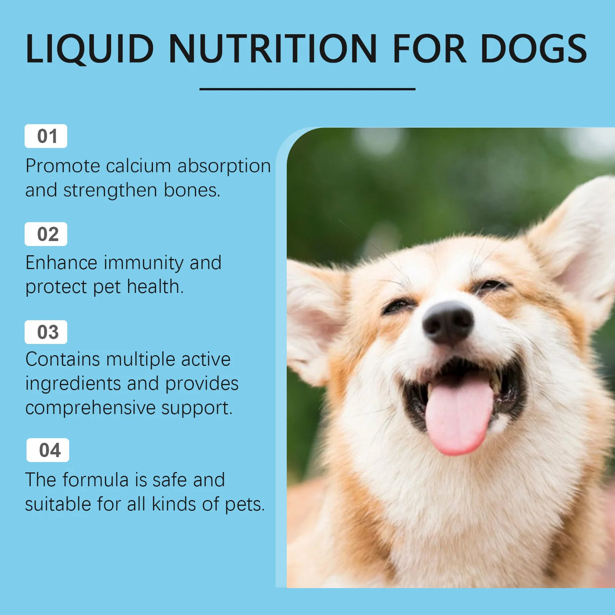 Strong Bones Vitamin Drops for Dogs & Cats