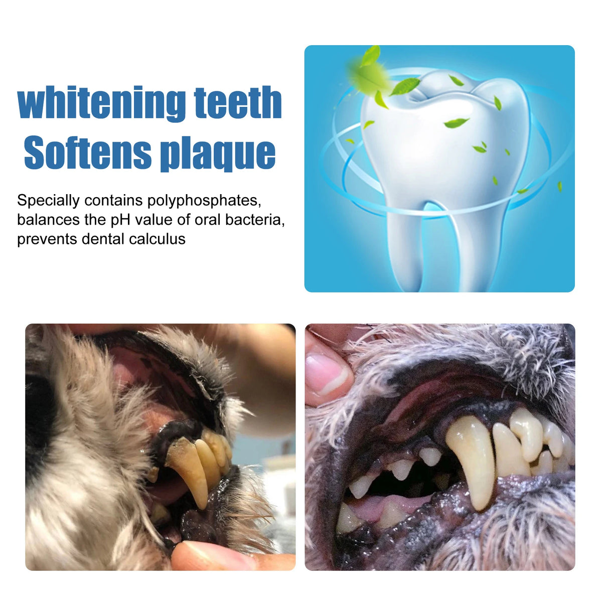 Dental Care Spray for Dogs & Cats — 60 ml