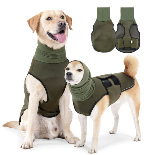 Dog Anxiety Vest — Green & Blue