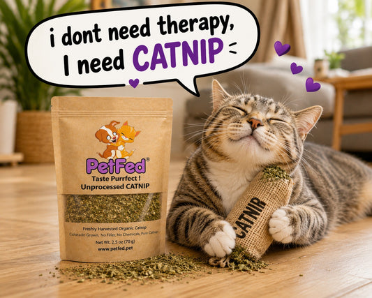 PetFed® Organic Catnip — 2.5 oz
