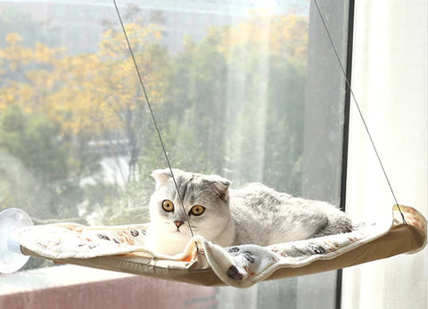 Four Seasons Swing Suction Hanging Cat Bed