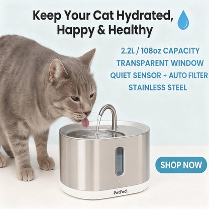 Multi-Layer Filtration Fountain